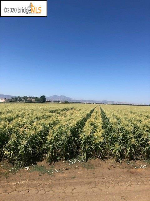 Eden Plains Brentwood, California Great location close to Brentwood. Level row crop land. Possible for Almonds or Pistachios. Approx. 14 acres on the West side of ECCID canal and rented to local farmer for sweet corn. May require bridge across canal. Located within East Contra Costa Irrigation District. Water costs approx. $45/ac ft. Annual standby charges of approx. $12/ac.