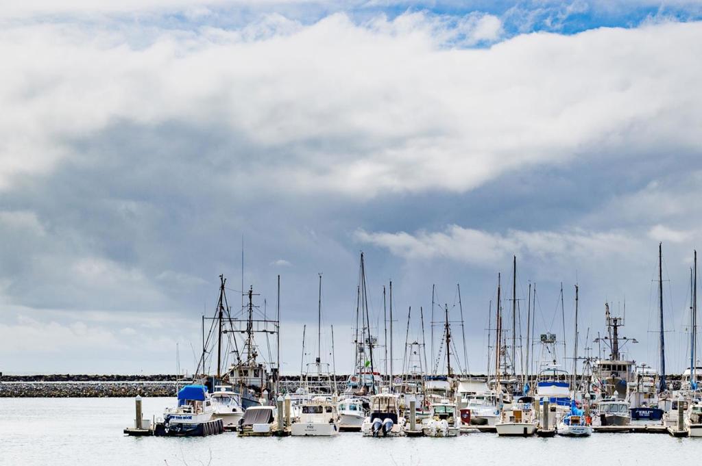 MLS #ML81855014 image #22