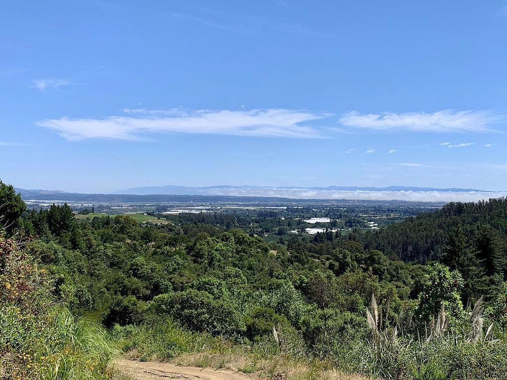 16 Apple Valley