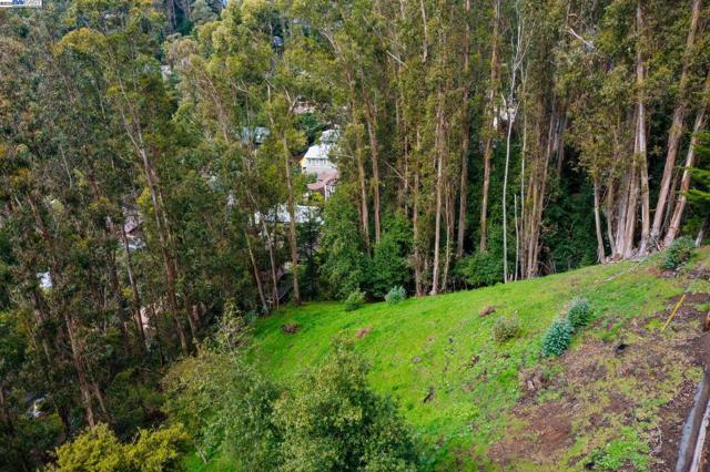 7635 Skyline Blvd, Oakland CA: https://media.crmls.org/mediaz/a0052a09-9032-4502-b553-f84bf6523e19.jpg