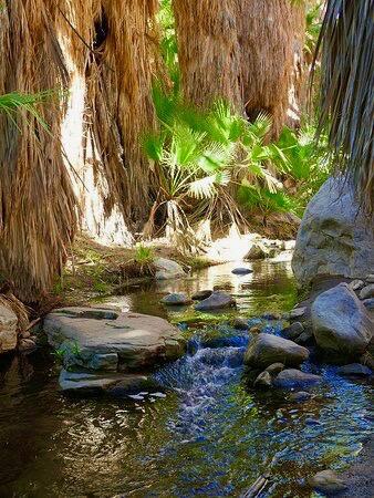 MLS #219141476PS image #68