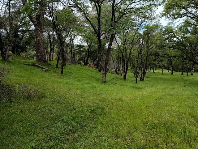 1119 Montauk Vista,  CA: https://media.crmls.org/mediaz/a012c1e4-f64e-4aab-8984-c0233053cf2a.jpg