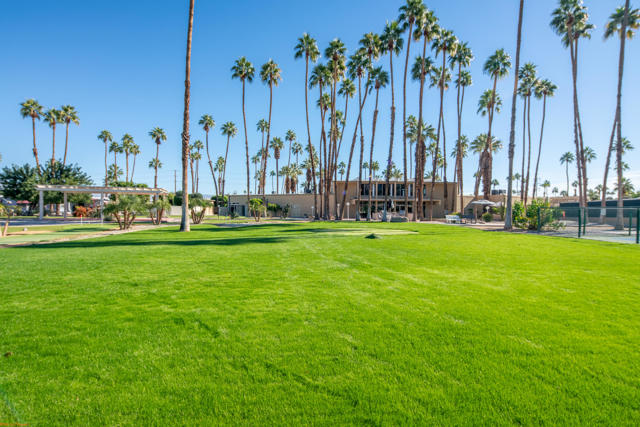 Were Focused 421 Butterfield-27