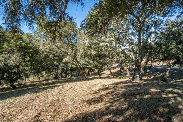 17114 Cachagua Road, Carmel Valley CA: https://media.crmls.org/mediaz/a01861d6-d6ae-4677-ae87-cffa33091d0e.jpg
