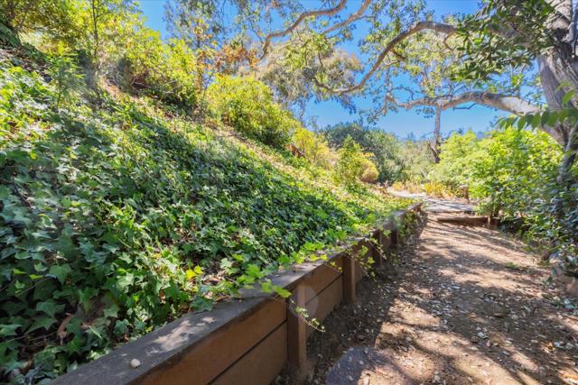 5824 Arboretum Drive, Los Altos CA: https://media.crmls.org/mediaz/a01d43f8-98b4-4a91-ab22-5922fe3d4233.jpg