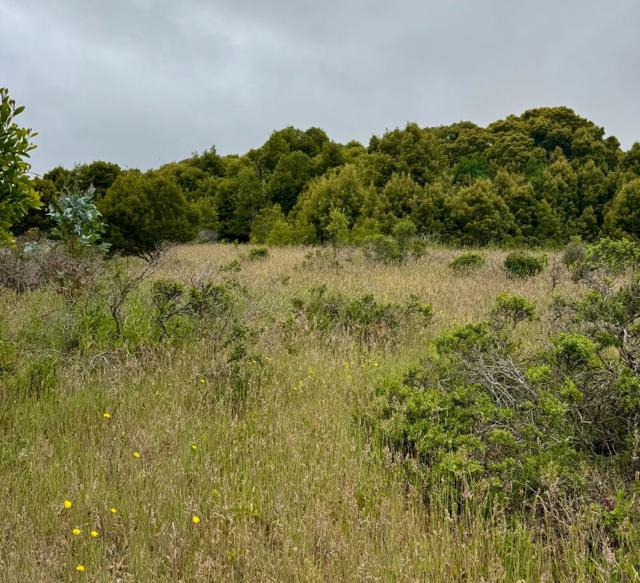 0 Bonita, Half Moon Bay CA: https://media.crmls.org/mediaz/a01d66bb-06d1-4042-82dd-04e81d7742b3.jpg
