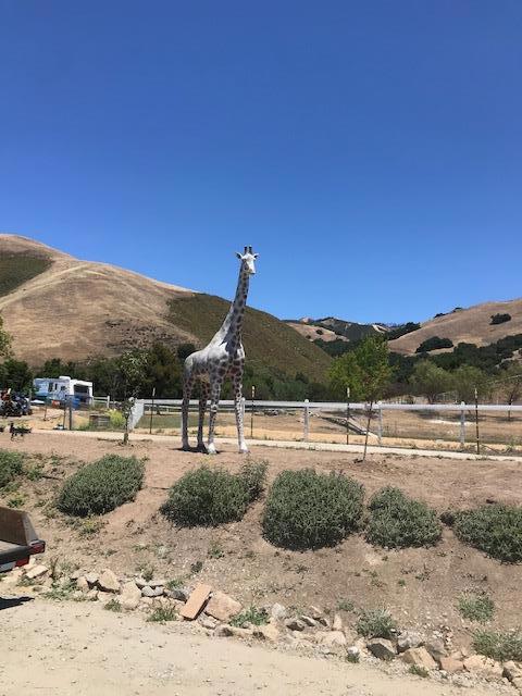 350 San Benancio Road, Salinas CA: https://media.crmls.org/mediaz/a02a97b1-b9bb-42dc-ad44-99f2b94601d7.jpg