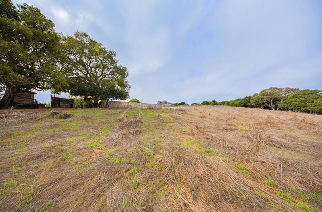 15108 Castroville Boulevard, Castroville CA: https://media.crmls.org/mediaz/a02ff6fd-6e2c-47e8-831a-938035edd3f9.jpg