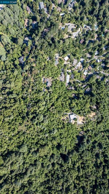 100 Black Log Rd, Kentfield CA: https://media.crmls.org/mediaz/a032e91c-0bee-4c9e-92c4-3292529e998e.jpg