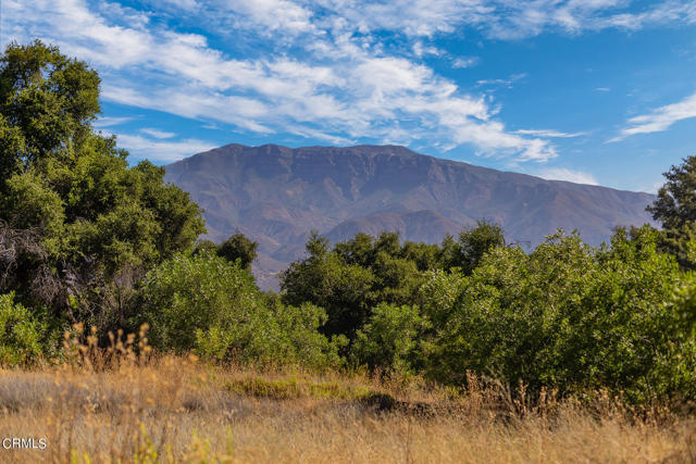 Detail Gallery Image 12 of 22 For 10331 Sulphur Mountain Rd, Ojai,  CA 93023 - – Beds | – Baths