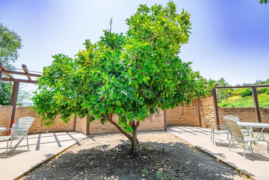 https://media.crmls.org/mediaz/a04753e6-b357-4e1e-ad10-5c95e17e27bc.jpg?preset=X-Large