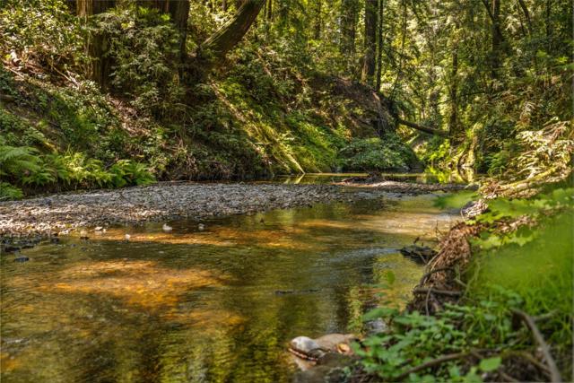 0 Highway 9, Boulder Creek CA: https://media.crmls.org/mediaz/a04c6552-c033-4a38-84a1-e6c38c16ad5a.jpg