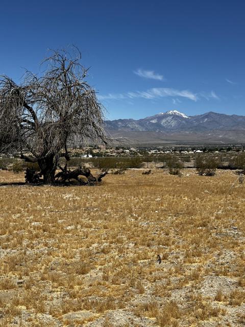 0 Mcgarger Road, Desert Hot Springs CA: https://media.crmls.org/mediaz/a04c770a-74e5-4146-851f-a1744ea06cbf.jpg