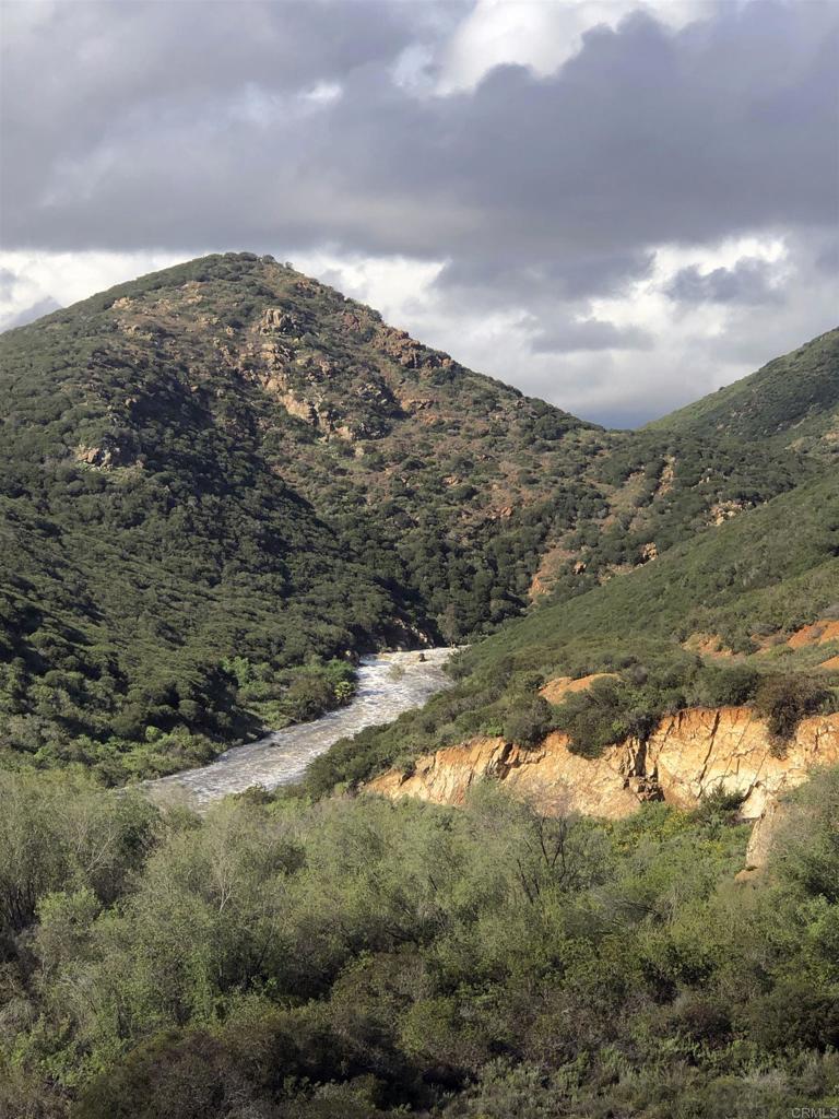 1650 Sagewood Way - photo 4