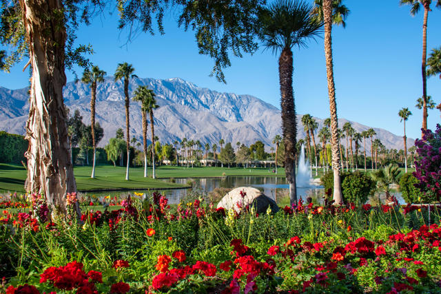 29555 Sandy Court, Cathedral City CA: https://media.crmls.org/mediaz/a0568c9e-d754-4874-bc93-1de3c5b74488.jpg