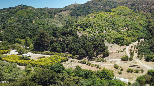 Own a classic California ranch, secluded but only 10 minutes to ocean or lake recreation, and a mere 20 minutes to the world-class cuisine and culture of Ojai, or Montecito/Santa Barbara! This 41 acre rare opportunity, located along a picturesque two lane road in a small valley, features a soul-soothing nature vibe throughout, with two homes, all season stream with suspension bridge, diverse wildlife, avocado (~1200) and persimmon (~400 ) orchards previously certified as organic, ~8 acres of flat space, solar powered 100 GPM well with 27,000 gallon storage, ag and domestic water meters, as well as several usable smaller structures. Cannabis and livestock limitations.  Unwind today by taking the unbranded tour of this quintessential rancho at CasitasAcres com.