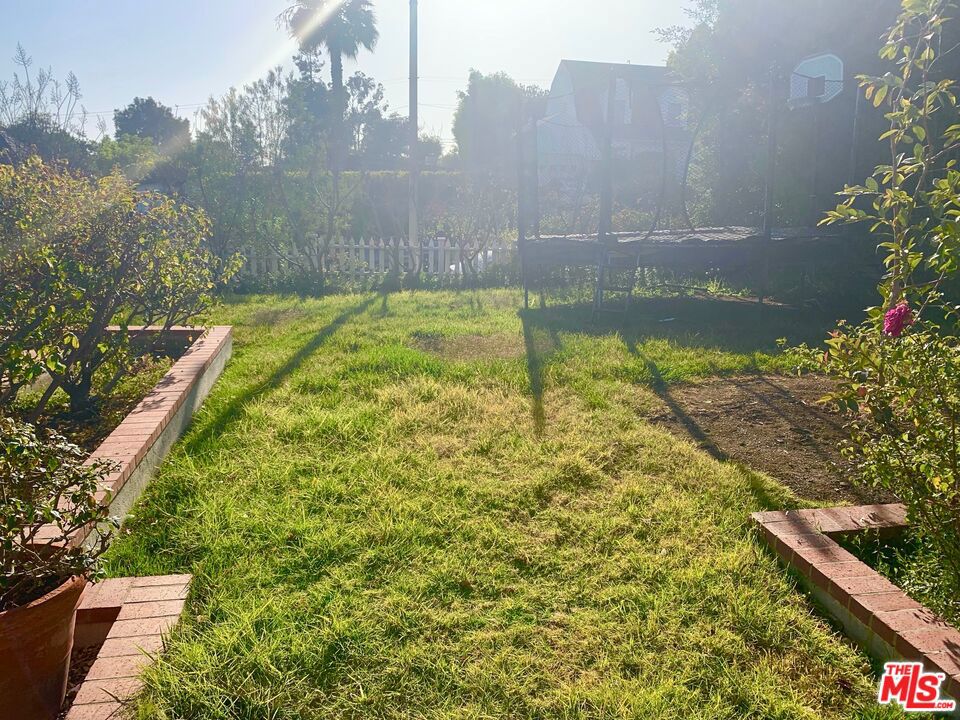 Front Yard
