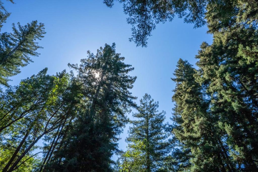 https://media.crmls.org/mediaz/a0753217-15a8-4aaf-ac12-3877e95940a8.jpg?preset=X-Large