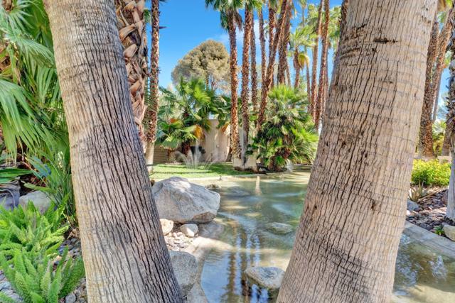 360 Cabrillo Road, Palm Springs CA: https://media.crmls.org/mediaz/a07a90c8-ee18-40a3-93f1-6a9d9cdefc1e.jpg