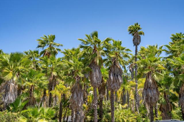 0 Ranger Road, Fallbrook CA: https://media.crmls.org/mediaz/a07e0859-1c6a-4adb-88c7-cdd1ae039375.jpg