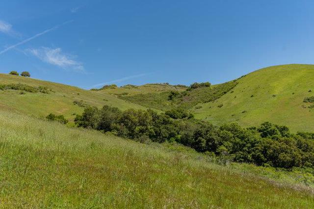 100 Old Stage Rd, San Juan Bautista CA: https://media.crmls.org/mediaz/a0830095-c1e0-4059-a746-ec9d7ef95712.jpg