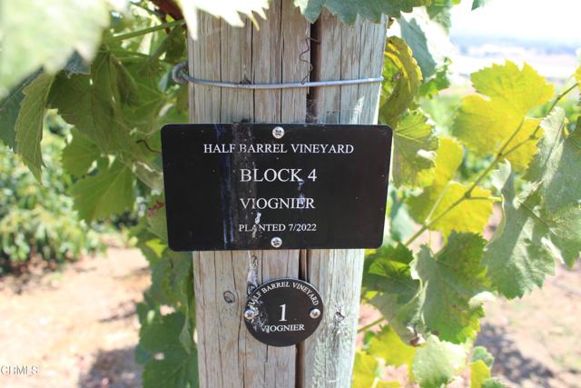 Detail Gallery Image 57 of 72 For 6150 Baja Vista Dr, Somis,  CA 93066 - 7 Beds | 5/2 Baths