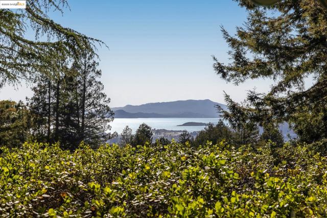 2671 Shasta Rd, Berkeley CA: https://media.crmls.org/mediaz/a090caf5-f88f-4eec-80dd-69db77ba5686.jpg