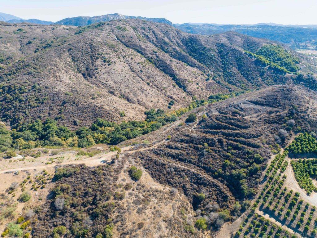 MLS #250022588SD img 2