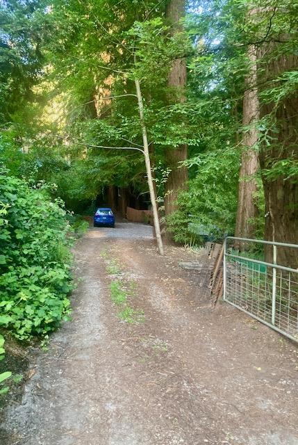144 Monaco Lane, Boulder Creek CA: https://media.crmls.org/mediaz/a0954703-29c0-4a7c-9557-de907d7bb2f3.jpg