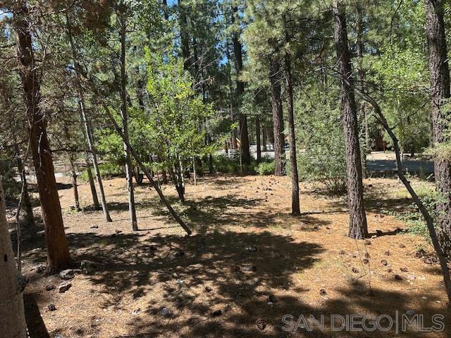 535 W Rainbow Blvd, Big Bear CA: https://media.crmls.org/mediaz/a099e87e-d916-4b90-8b7c-3a2ce7d76028.jpg