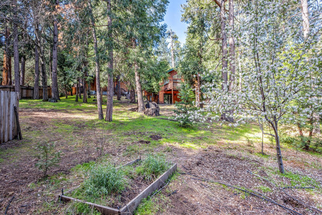 53962 Marian View Drive, Idyllwild CA: https://media.crmls.org/mediaz/a09d0f6f-c8a5-448a-a317-a3e3a49ed236.jpg