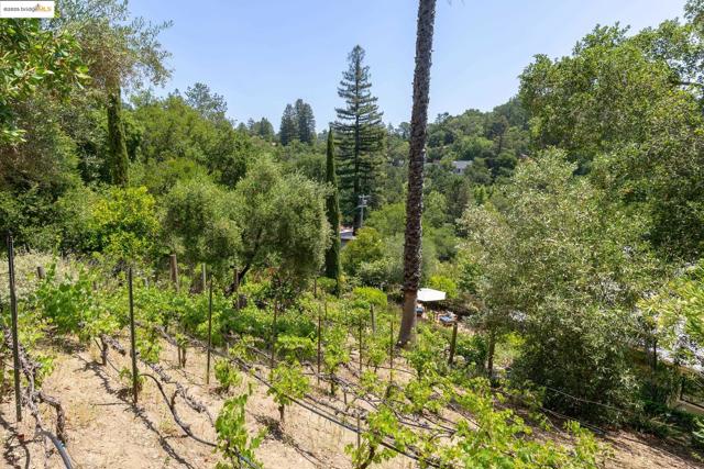 151 La Espiral, Orinda CA: https://media.crmls.org/mediaz/a0a75175-695f-478e-a97e-ba594fe641dd.jpg