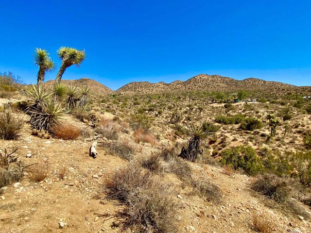 120 Benmar Trail, Morongo Valley CA: https://media.crmls.org/mediaz/a0ab7ba0-c111-4d3d-a99a-81b45c55a9a7.jpg