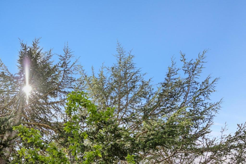 https://media.crmls.org/mediaz/a0aca7ac-5857-4255-a897-03b755e4e777.jpg?preset=X-Large