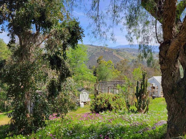 9740 Nutby Ln, Escondido CA: https://media.crmls.org/mediaz/a0c03414-e044-446d-a30d-4109a251db49.jpg