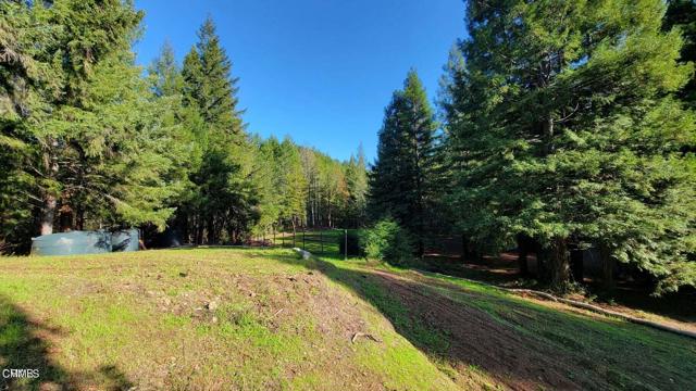 Detail Gallery Image 6 of 25 For 26030 Comptche Ukiah Rd, Comptche,  CA 95427 - – Beds | – Baths