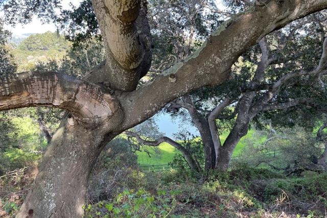 5496 Quail Meadows Drive, Carmel Valley CA: https://media.crmls.org/mediaz/a0c76e48-5b4e-4a21-9d5b-affa025100dc.jpg