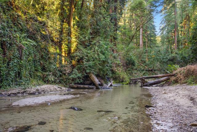 24 Terrace Way, Felton CA: https://media.crmls.org/mediaz/a0cc34e1-2123-456e-bb0b-8cf054fc72b5.jpg