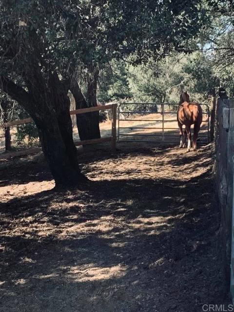 Detail Gallery Image 61 of 61 For 22750 Illahee Dr, Alpine,  CA 91901 - 3 Beds | 2 Baths