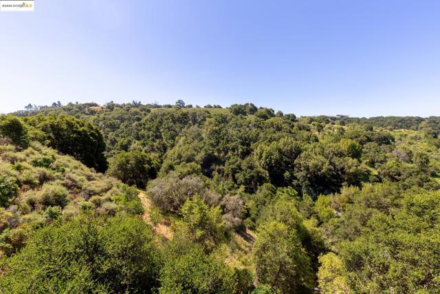 10353 Royal Oak Rd, Oakland CA: https://media.crmls.org/mediaz/a0de9ee8-fd27-4283-b807-7b0eba7d9001.jpg