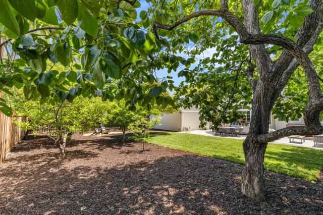 581 Pamlar Avenue, San Jose CA: https://media.crmls.org/mediaz/a0df6a46-f681-4dc3-a93b-d927a3d57839.jpg