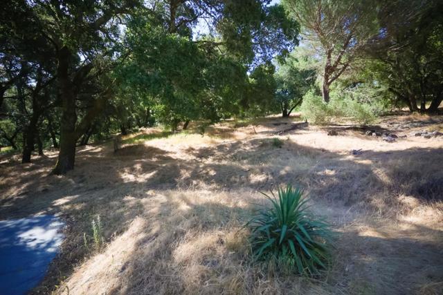 1296 Conference Drive, Scotts Valley CA: https://media.crmls.org/mediaz/a0e60399-d57e-4bf0-8bdf-9e22f95f0e43.jpg