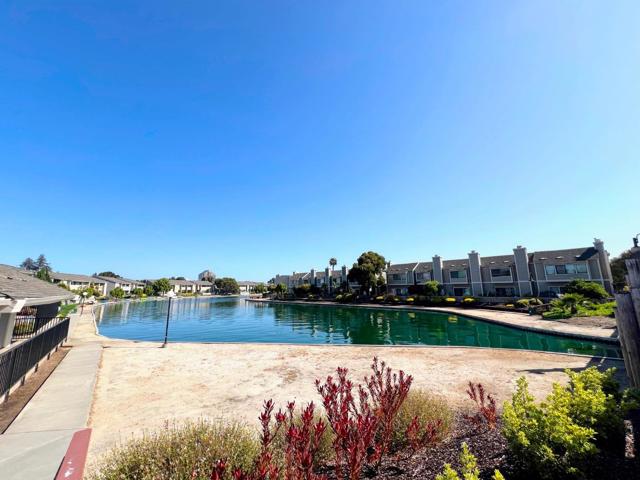 801 Ram Lane, Foster City CA: https://media.crmls.org/mediaz/a0f37c9d-3299-4b5e-b880-9b03c831c4d3.jpg