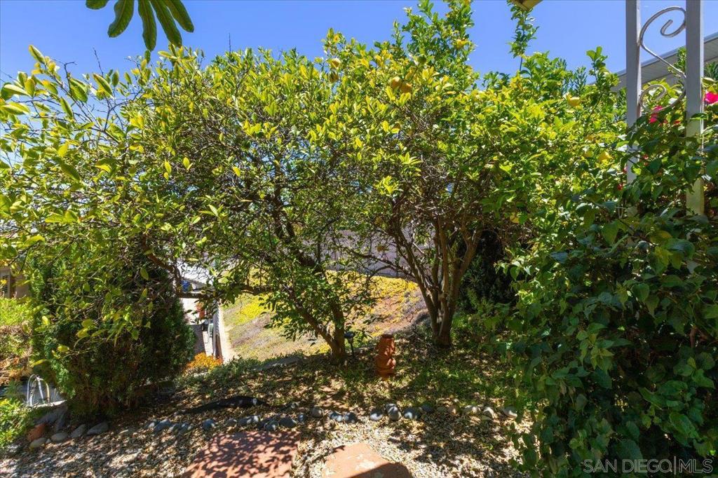 1175 La Moree Spc 49 - photo 17
