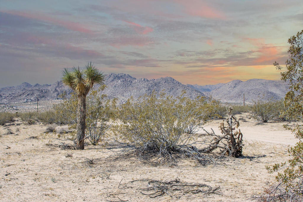 MLS #219130433PS image #13