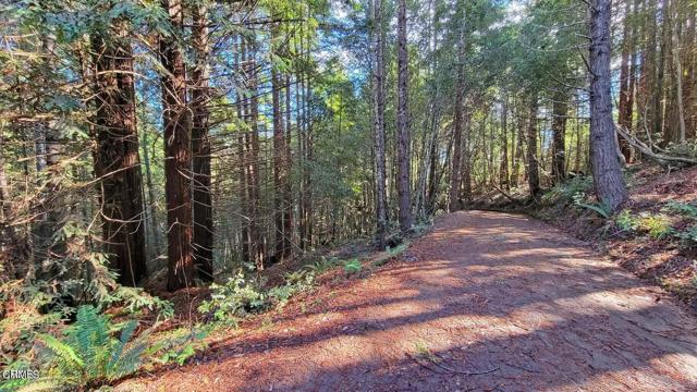 Detail Gallery Image 10 of 15 For 12301 Docker Hill Rd, Comptche,  CA 95427 - – Beds | – Baths