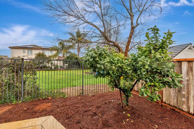 9135 Desiderio Way, Gilroy CA: https://media.crmls.org/mediaz/a11d7d2c-9d55-4ed8-b942-12ce3a499d8c.jpg