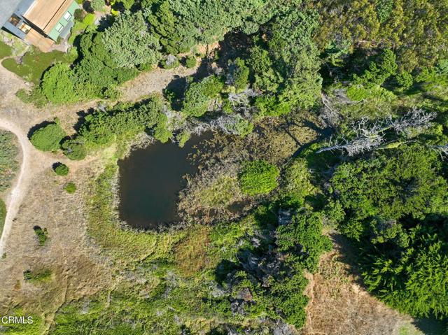 17290 Ocean Drive, Fort Bragg, California 95437, ,Land,For Sale,17290 Ocean Drive,CRC1-10376