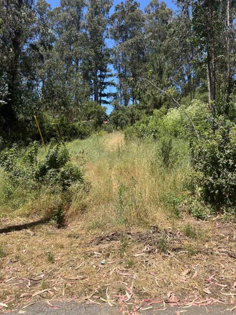 17160 Wilson Way, Royal Oaks CA: https://media.crmls.org/mediaz/a124ae14-c970-48d4-b031-c5b8ee2cd558.jpg