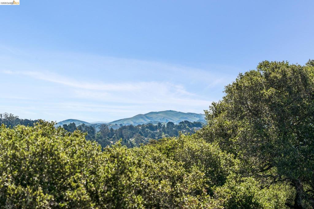 https://media.crmls.org/mediaz/a126b00d-1793-4294-84a3-af495c593287.jpg?preset=X-Large